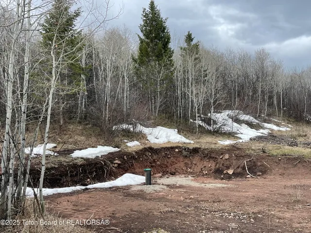 $749,900 | 777 Richardson Creek Drive, Afton, WY 83110