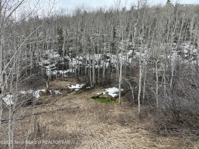 $749,900 | 777 Richardson Creek Drive, Afton, WY 83110