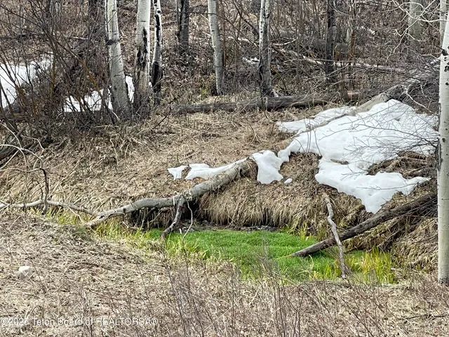 $749,900 | 777 Richardson Creek Drive, Afton, WY 83110