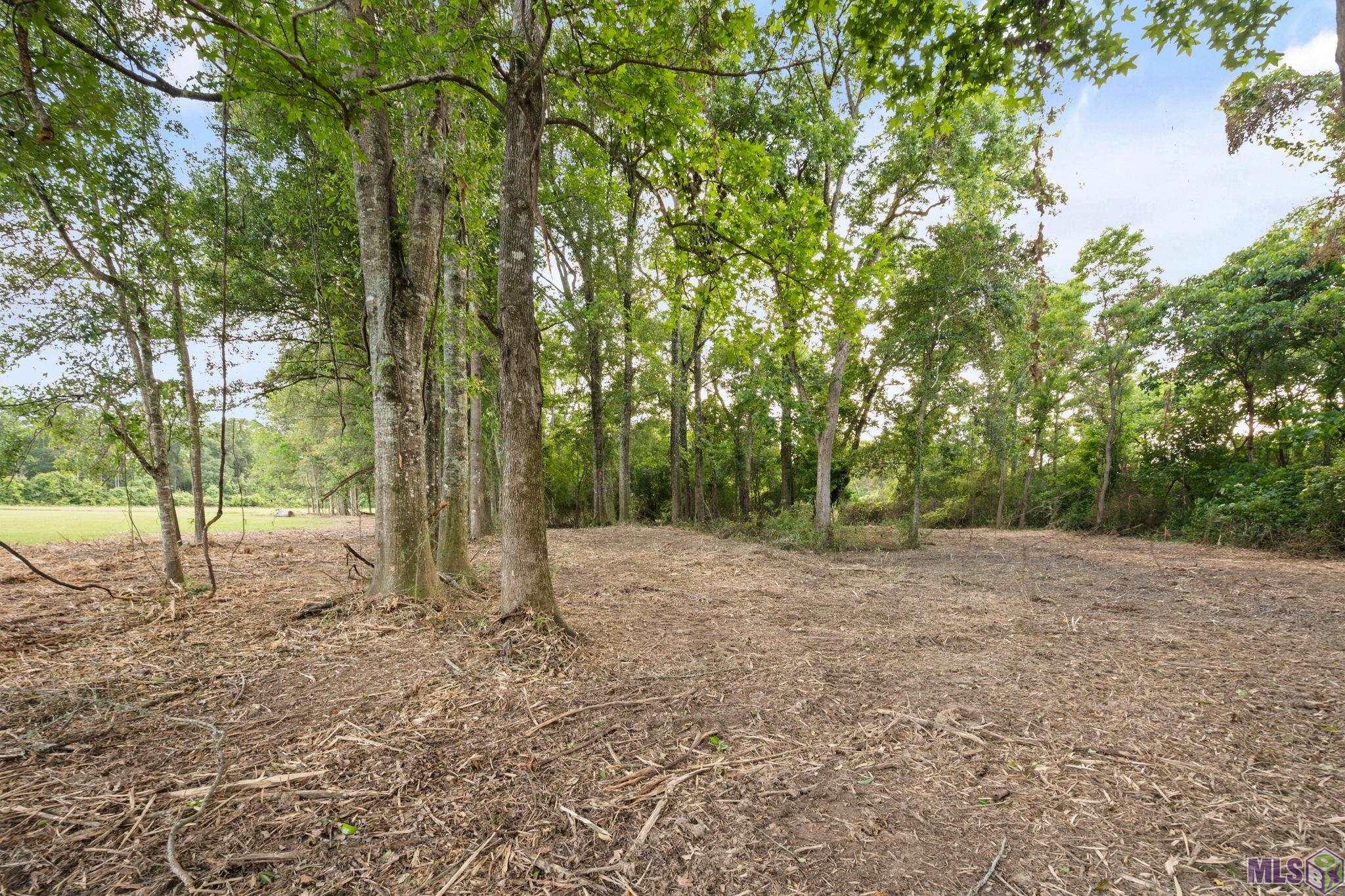 10440 Bank Street Clinton, LA 70722 - Photo 15 of 27