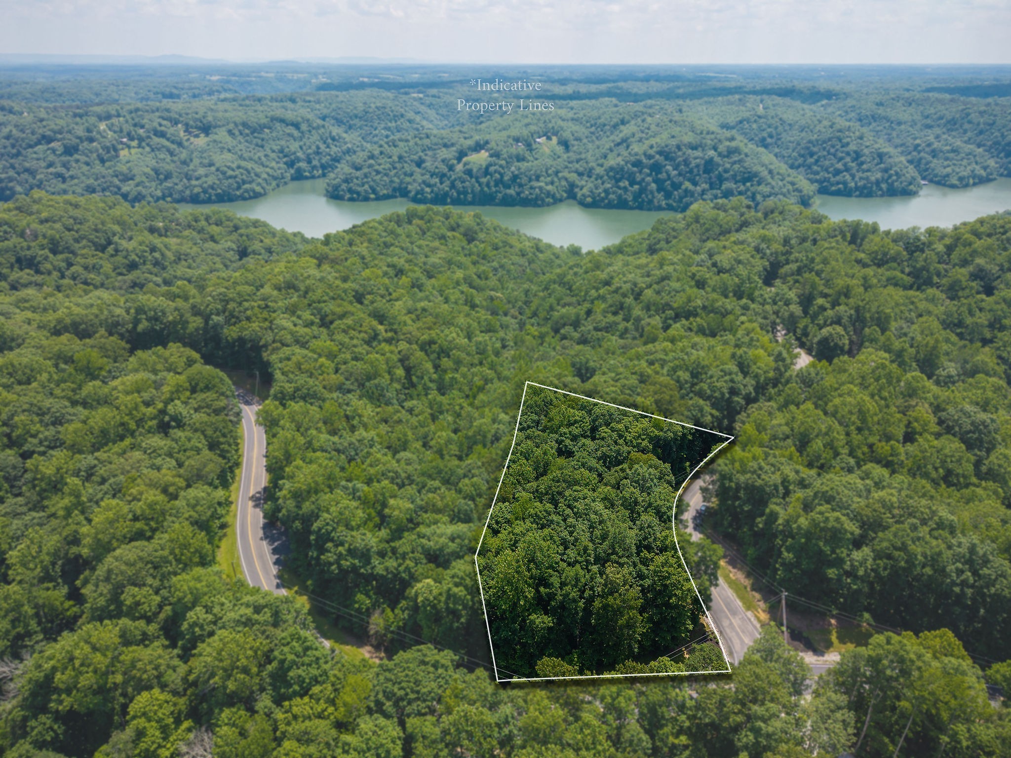 0 Sunset Pointe Sparta, TN 38583 - Photo 1 of 13 a view of a lush green forest with a sink