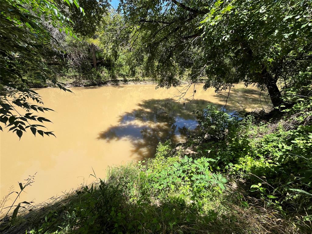 203 A County Road, Unit 21 Hamilton, TX 76531 - Photo 3 of 4 a view of a large yard with lots of green space
