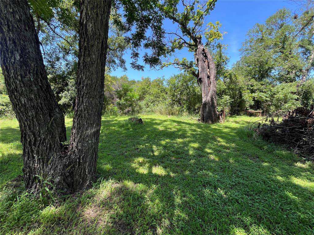 203 A County Road, Unit 21 Hamilton, TX 76531 - Photo 4 of 4 a view of a trees in a yard