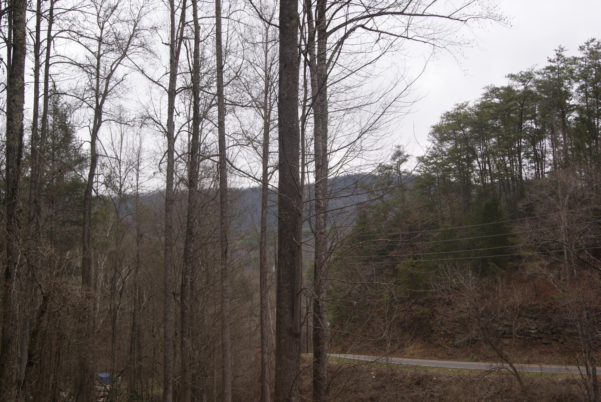 3910 Wilhite Road Sevierville, TN 37876 - Photo 10 of 11 Gallery Image 10