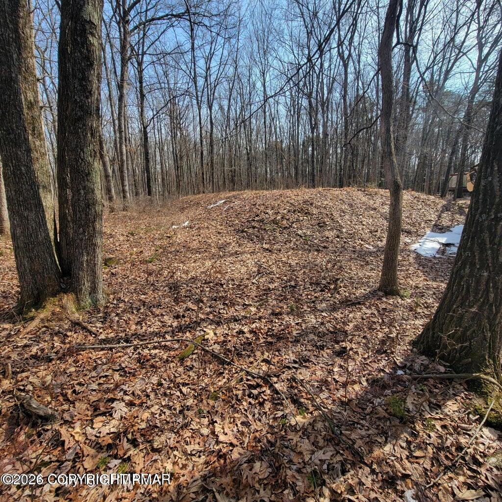 479 Jonas Road Effort, PA 18330 - Photo 8 of 8 20260613194551321364000000-o