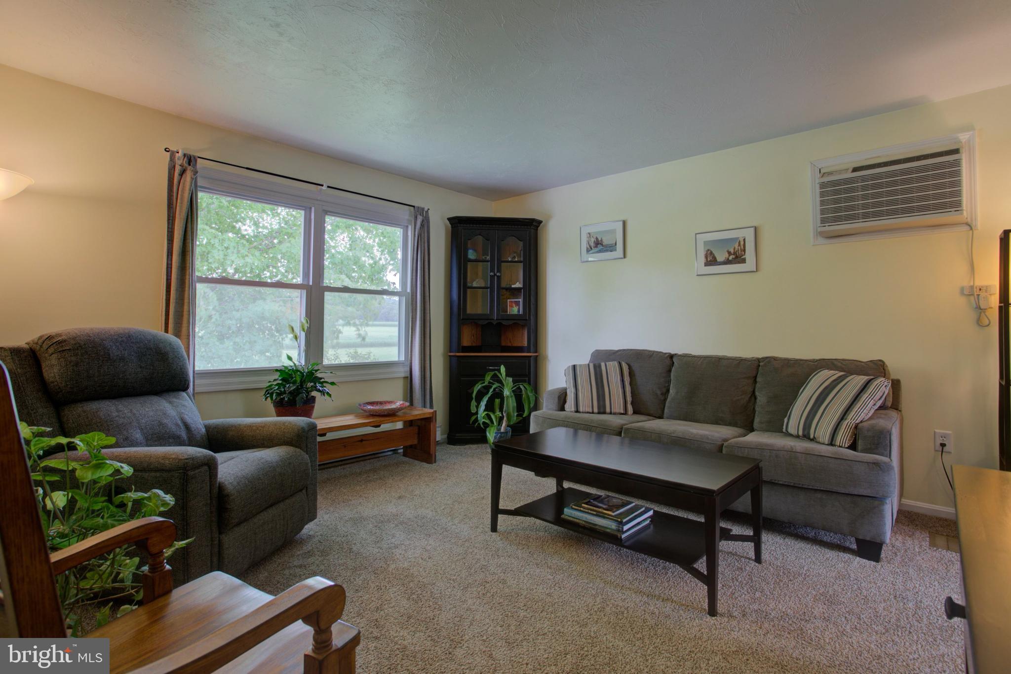 316 Long Lane Lititz, PA 17543 - Photo 13 of 49 a living room with furniture and a large window