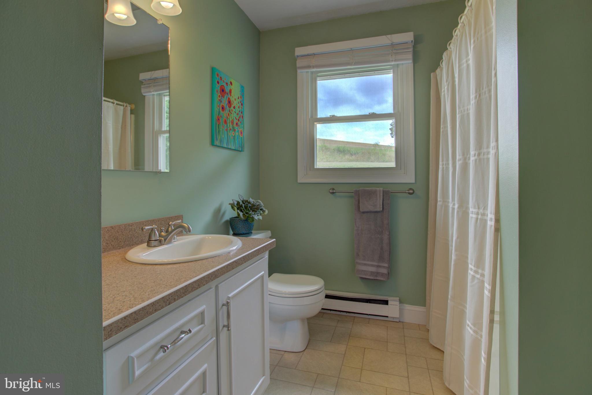 316 Long Lane Lititz, PA 17543 - Photo 21 of 49 a bathroom with a toilet sink and mirror