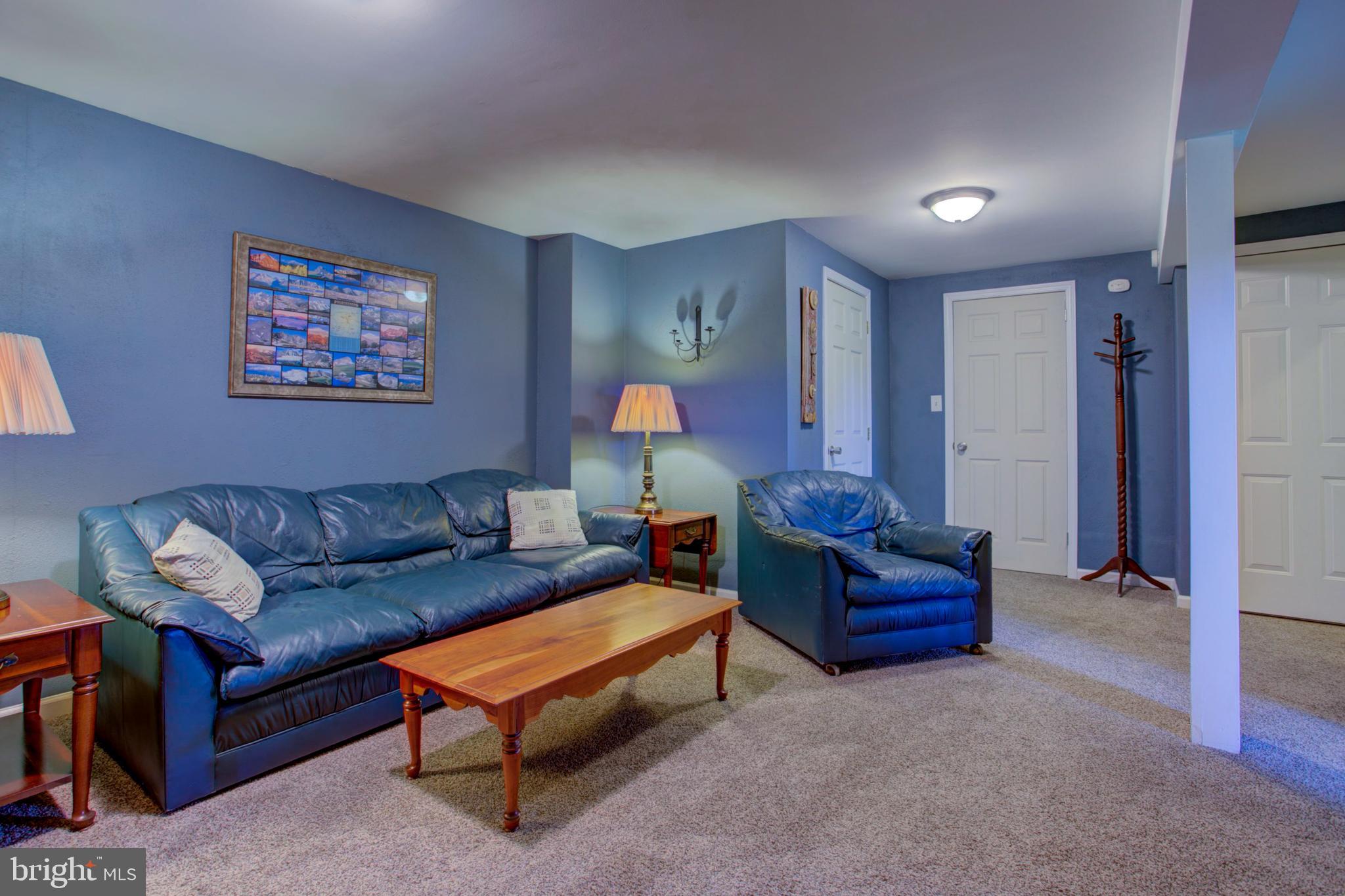 316 Long Lane Lititz, PA 17543 - Photo 29 of 49 a living room with furniture and a mirror