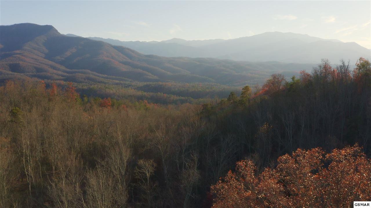 314 Hickey Road Sevierville, TN 37876 - Photo 11 of 36