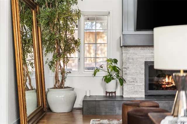 a living room with furniture and a potted plant