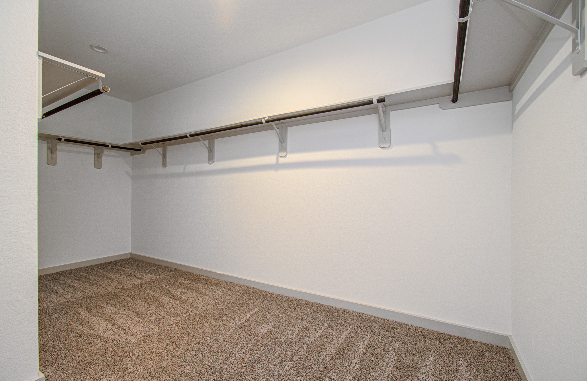 7903 Wrangler Shack Lane Rosharon, TX 77583 - Photo 29 of 29 Discover a spacious walk-in closet featuring plush carpet, ample hanging space, and bright, neutral walls, perfect for stylish organization.