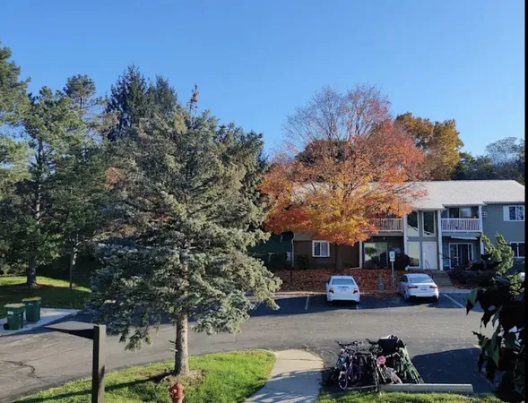 a view of a patio with table and chairs under an umbrella with large trees
