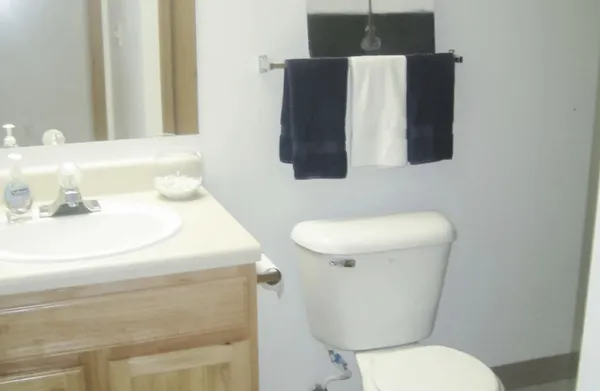 a white toilet sitting next to a bathroom sink