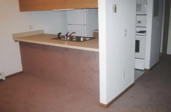 a kitchen with a sink and a refrigerator
