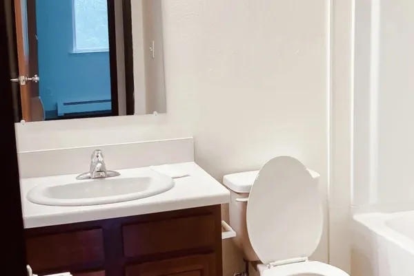 a bathroom with a sink a toilet and mirror