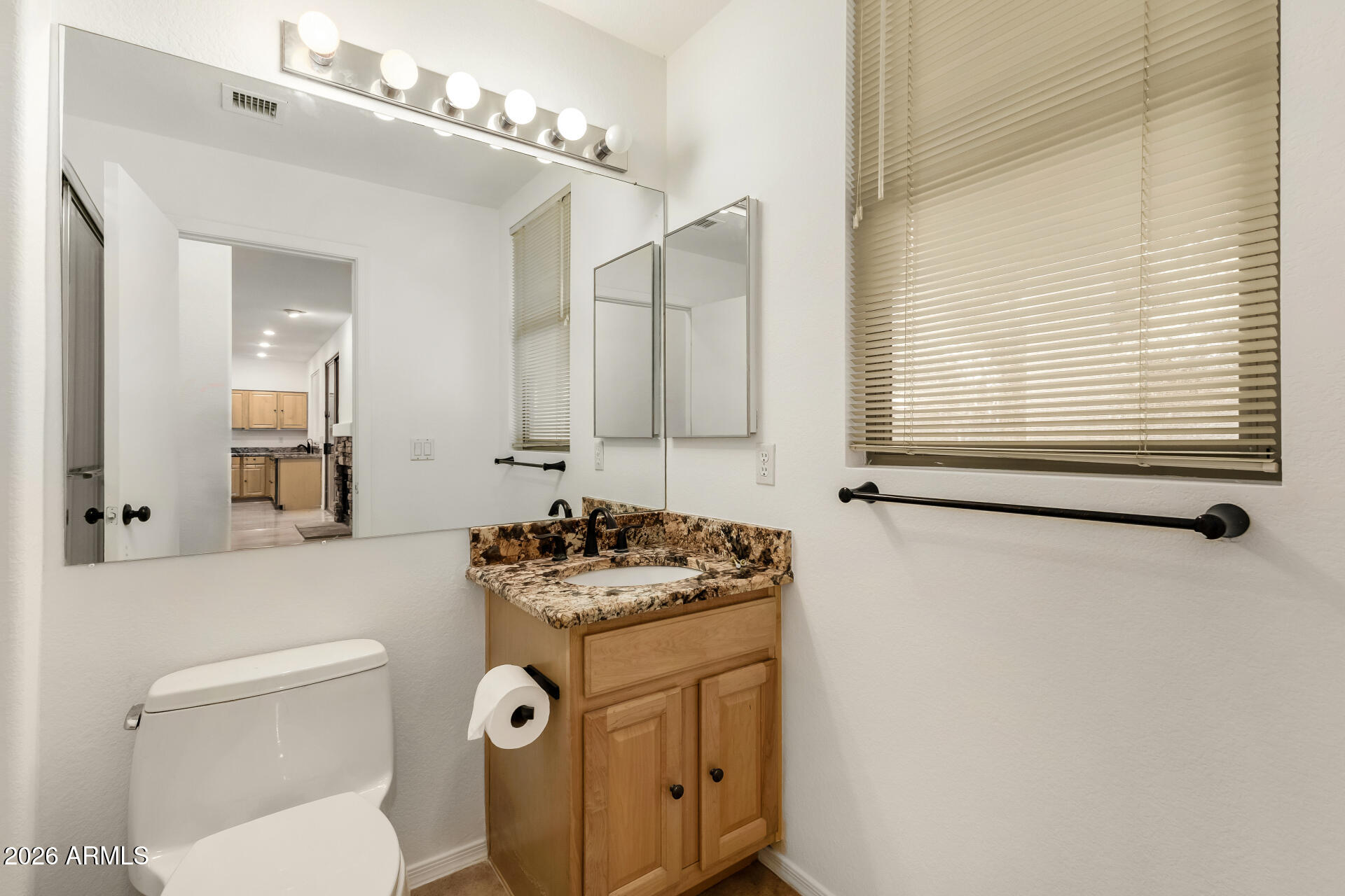 3962 East Agave Road Phoenix, AZ 85044 - Photo 14 of 54 a bathroom with a toilet sink vanity and mirror