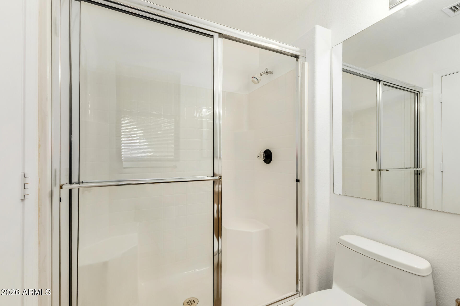 3962 East Agave Road Phoenix, AZ 85044 - Photo 15 of 54 a bathroom with a shower and a toilet