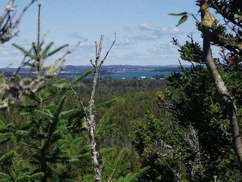 Lot 33 County Road Lubec, ME 04652 - Photo 1 of 9 Photo