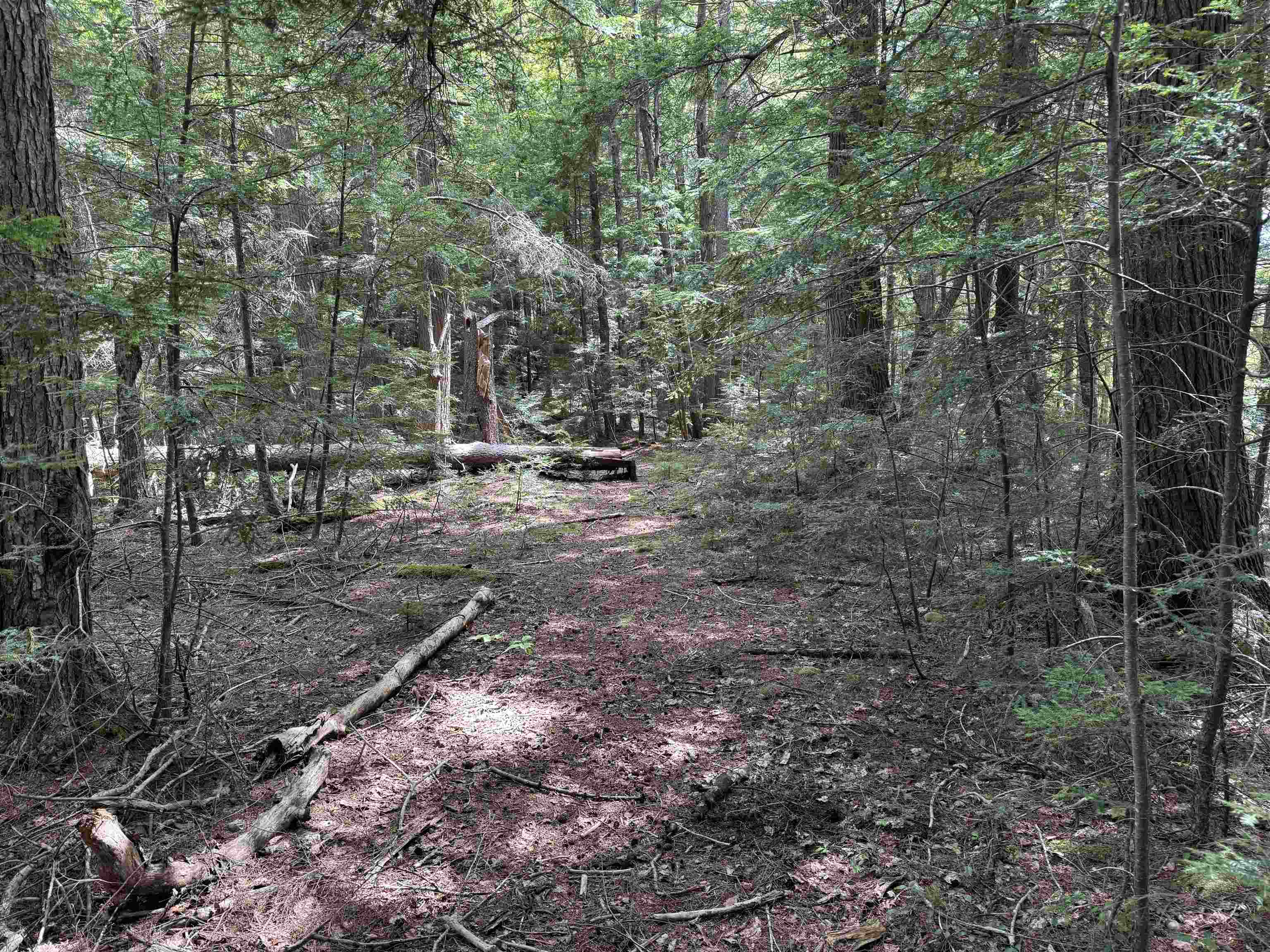 0 Lake Hill Road, Unit GATES LOT Jacksonville, VT 05342 - Photo 27 of 27
