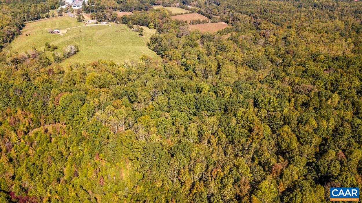 1143 Bybees Church Road Palmyra, VA 22963 - Photo 17 of 34