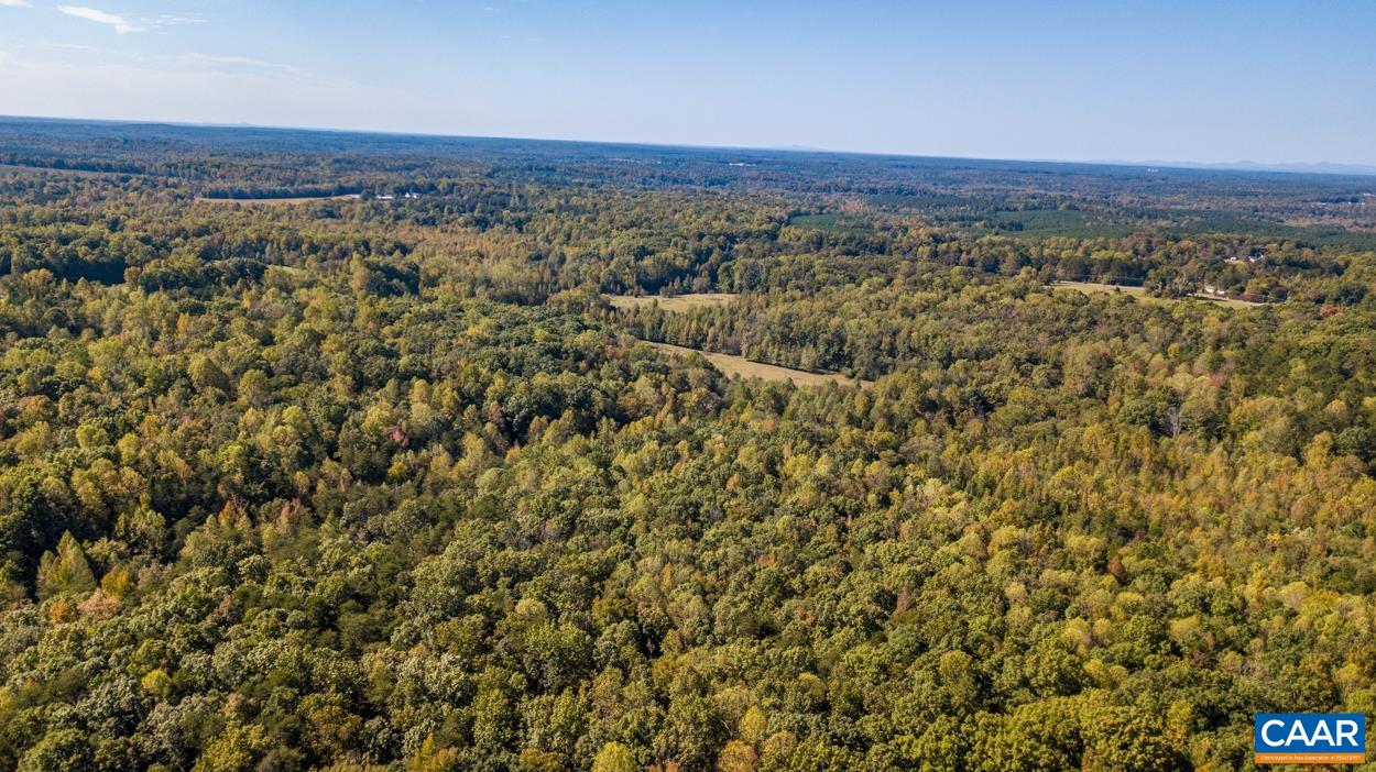 1143 Bybees Church Road Palmyra, VA 22963 - Photo 34 of 34 a view of a city with lush green forest
