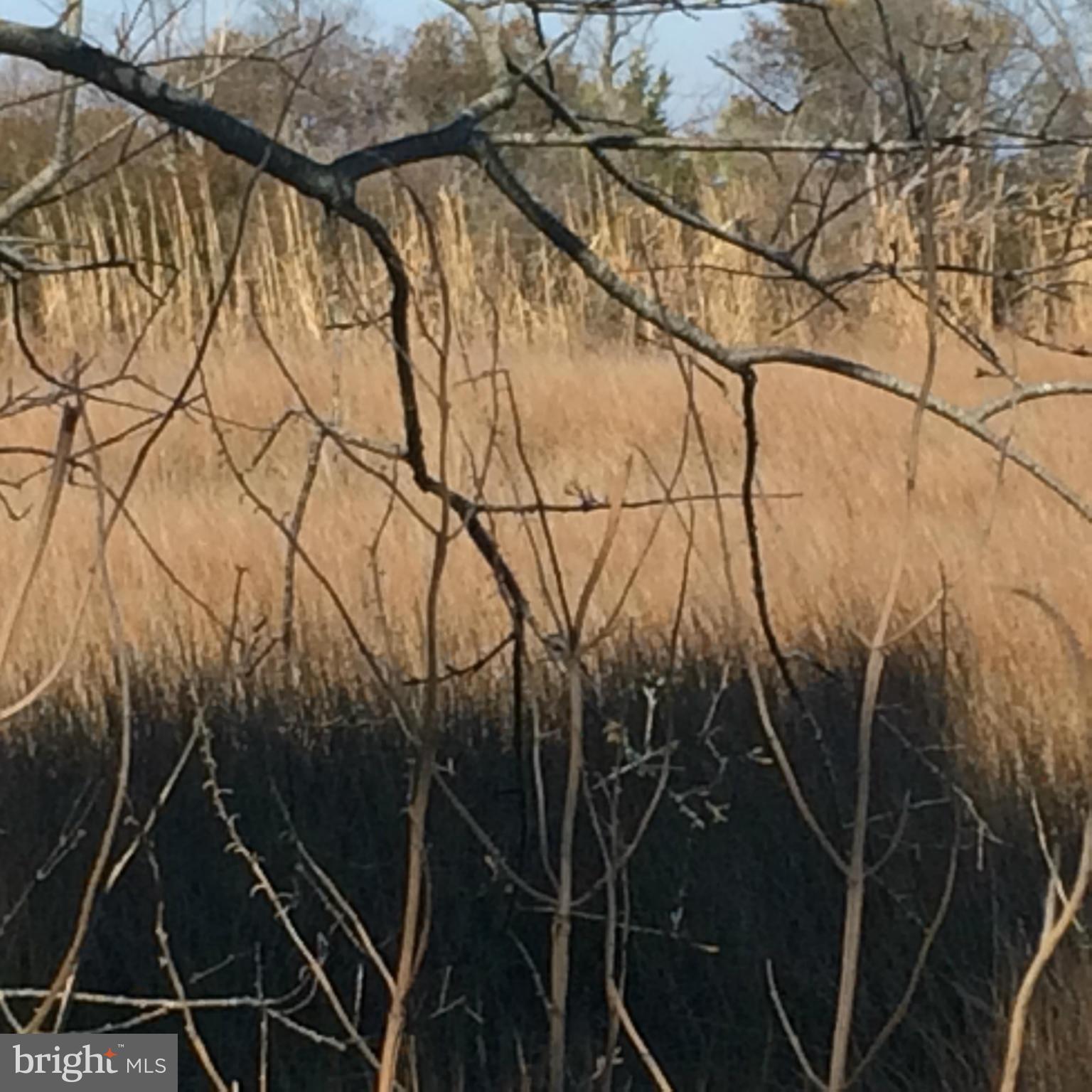 Drum Point Road Westover, MD 21871 - Photo 6 of 28 View