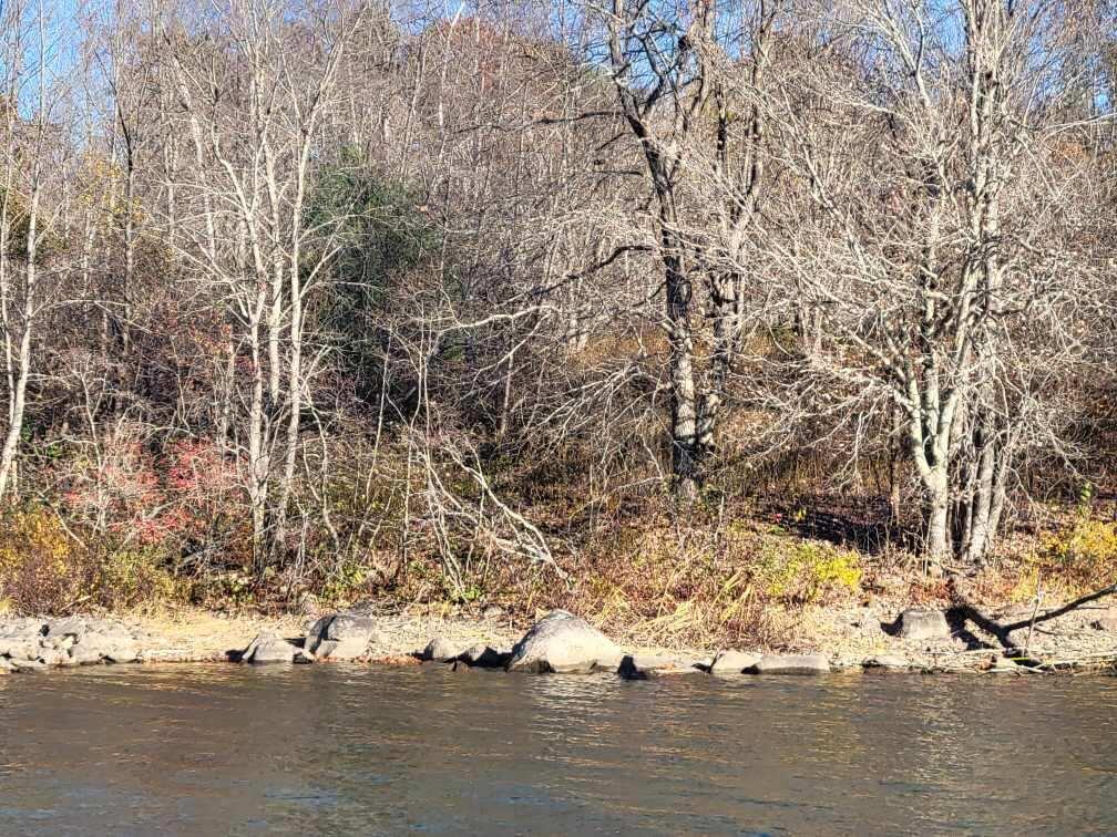 457 North Searsport Road Swanville, ME 04915 - Photo 11 of 21 Resized952024102595150756951729885392952