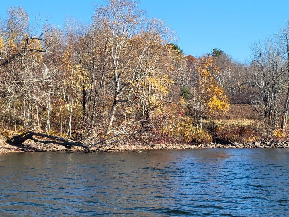 457 North Searsport Road Swanville, ME 04915 - Photo 13 of 21 Resized952024102595150329951729885444956