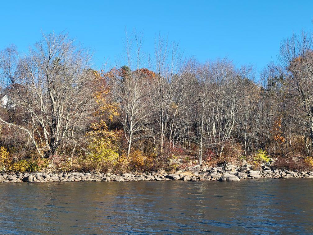 457 North Searsport Road Swanville, ME 04915 - Photo 6 of 21 Resized952024102595150458951729885404775