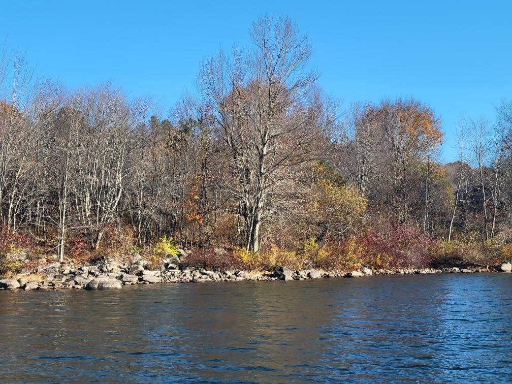 457 North Searsport Road Swanville, ME 04915 - Photo 7 of 21 Resized952024102595150500951729885404419