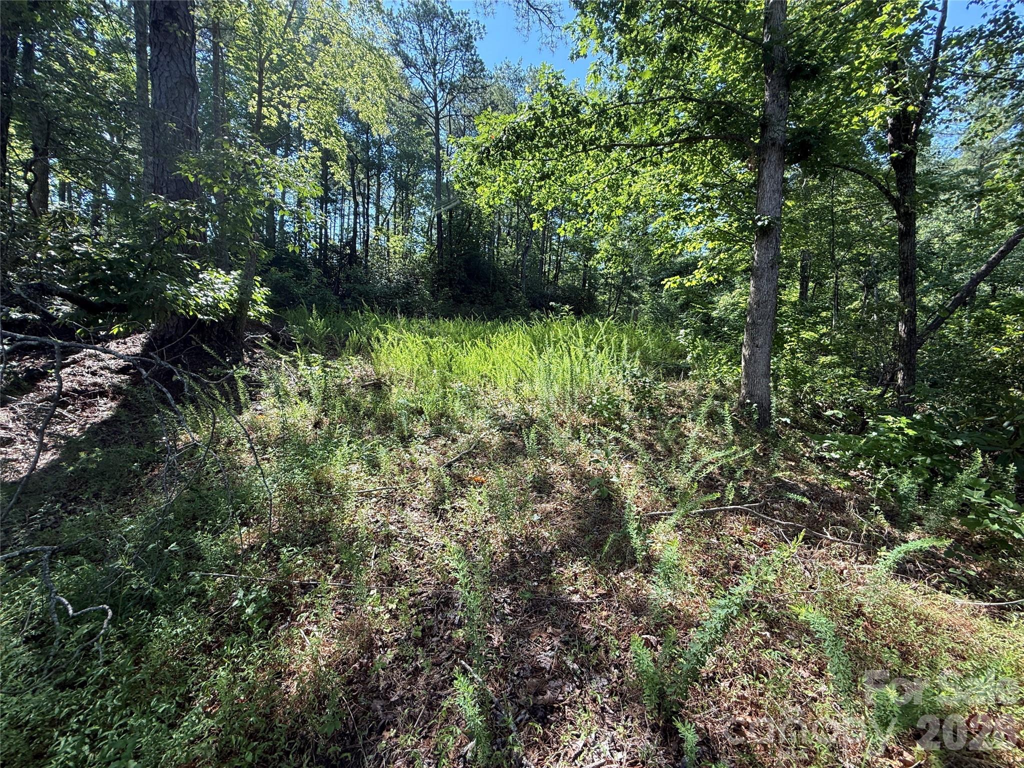 999 Fox Rdg Trail, Unit 7 Marion, NC 28752 - Photo 5 of 13