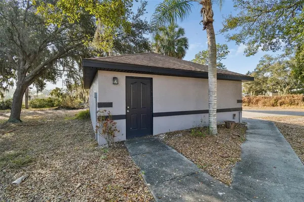 a view of road with large trees