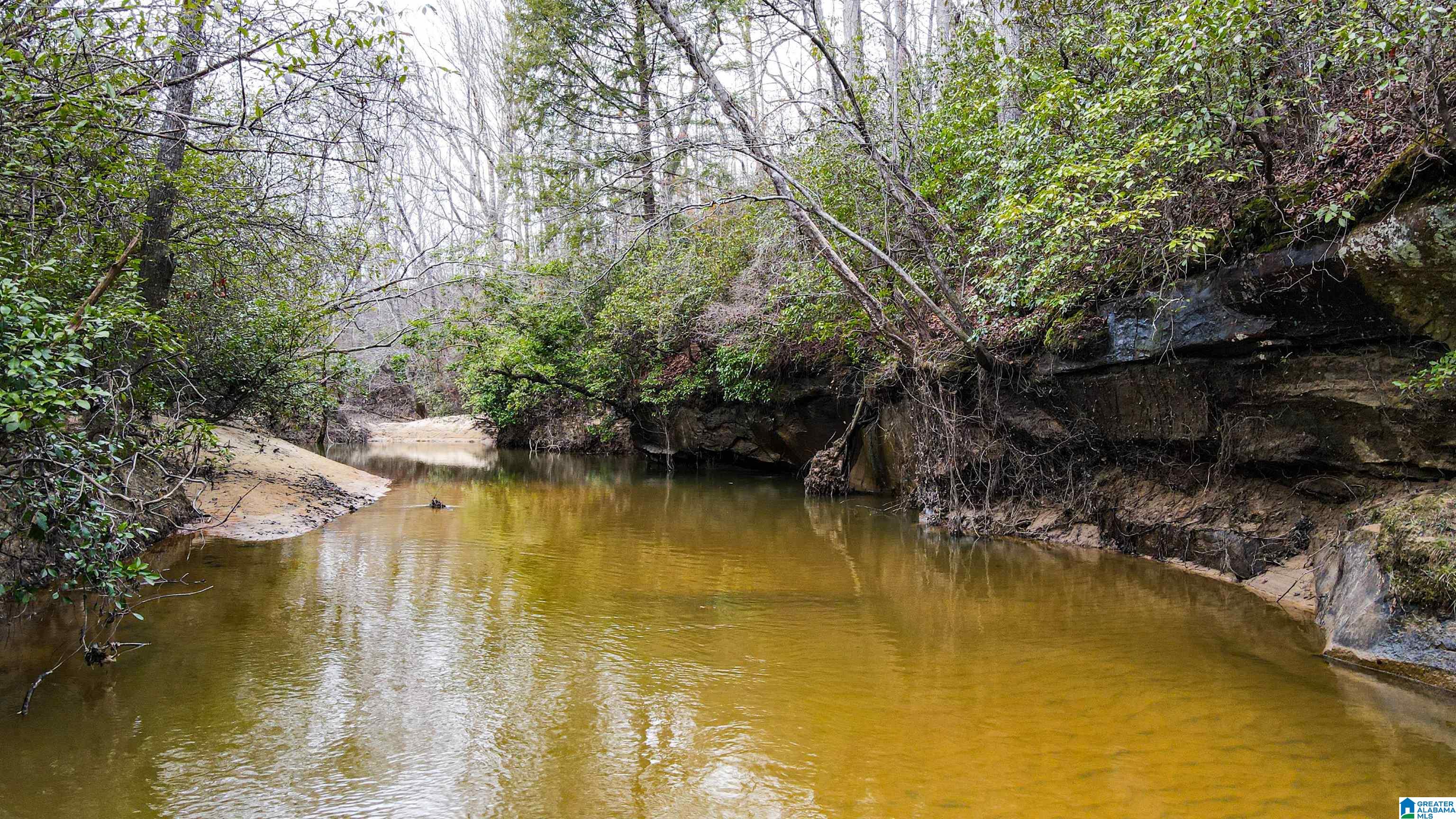 339 County Road Nauvoo, AL 35578 - Photo 54 of 57