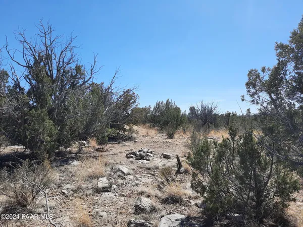 $6,000 | 58153 Calle Carlota, Seligman, AZ 86337