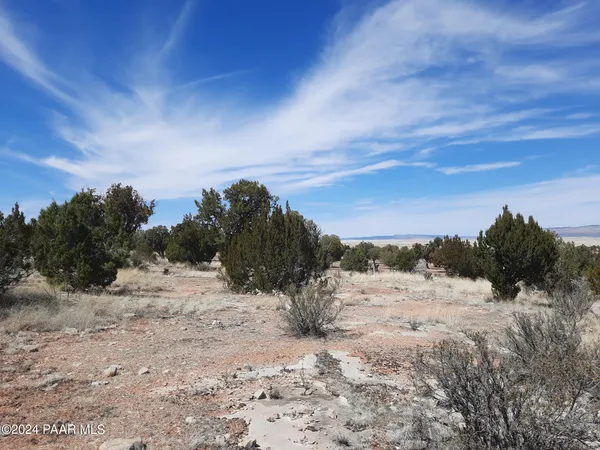 $6,000 | 58153 Calle Carlota, Seligman, AZ 86337