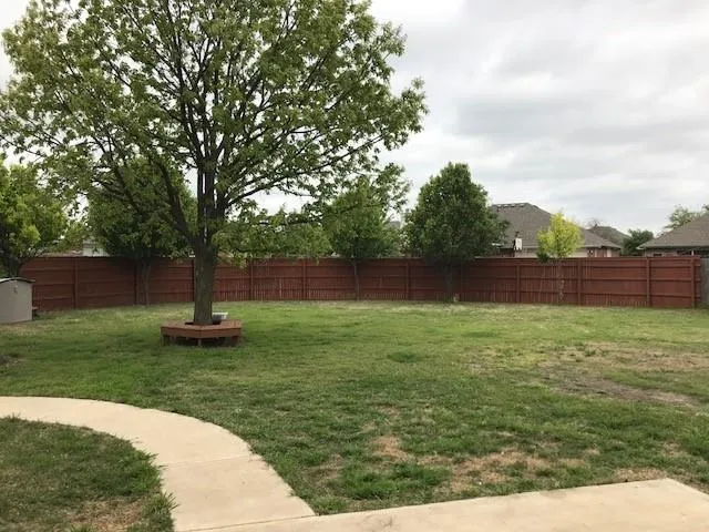 a view of a backyard
