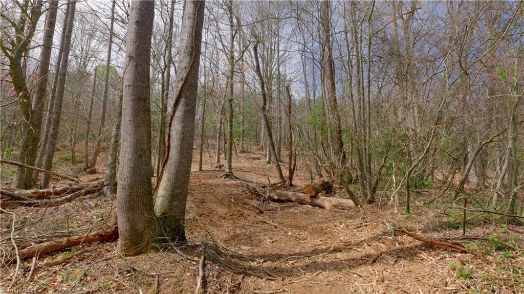 335 Phillips Road Dobson, NC 27017 - Photo 15 of 34