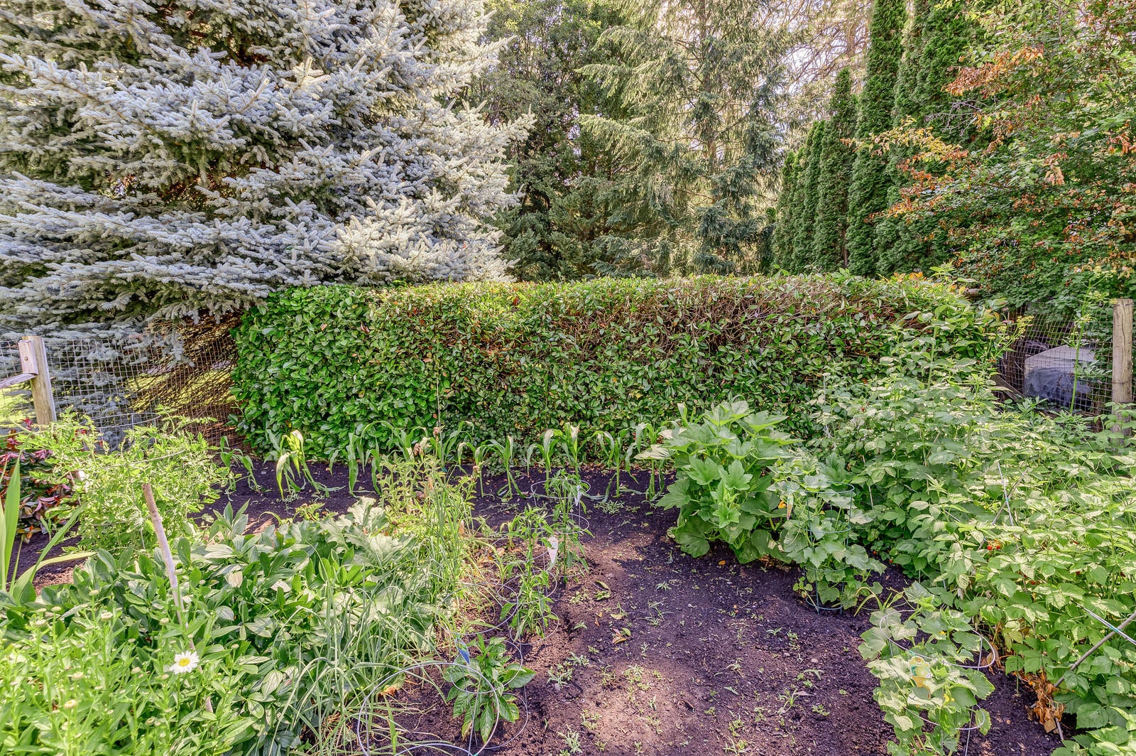 735 Old Ferry Road Shady Cove, OR 97539 - Photo 59 of 76 47_OFR_47_mls