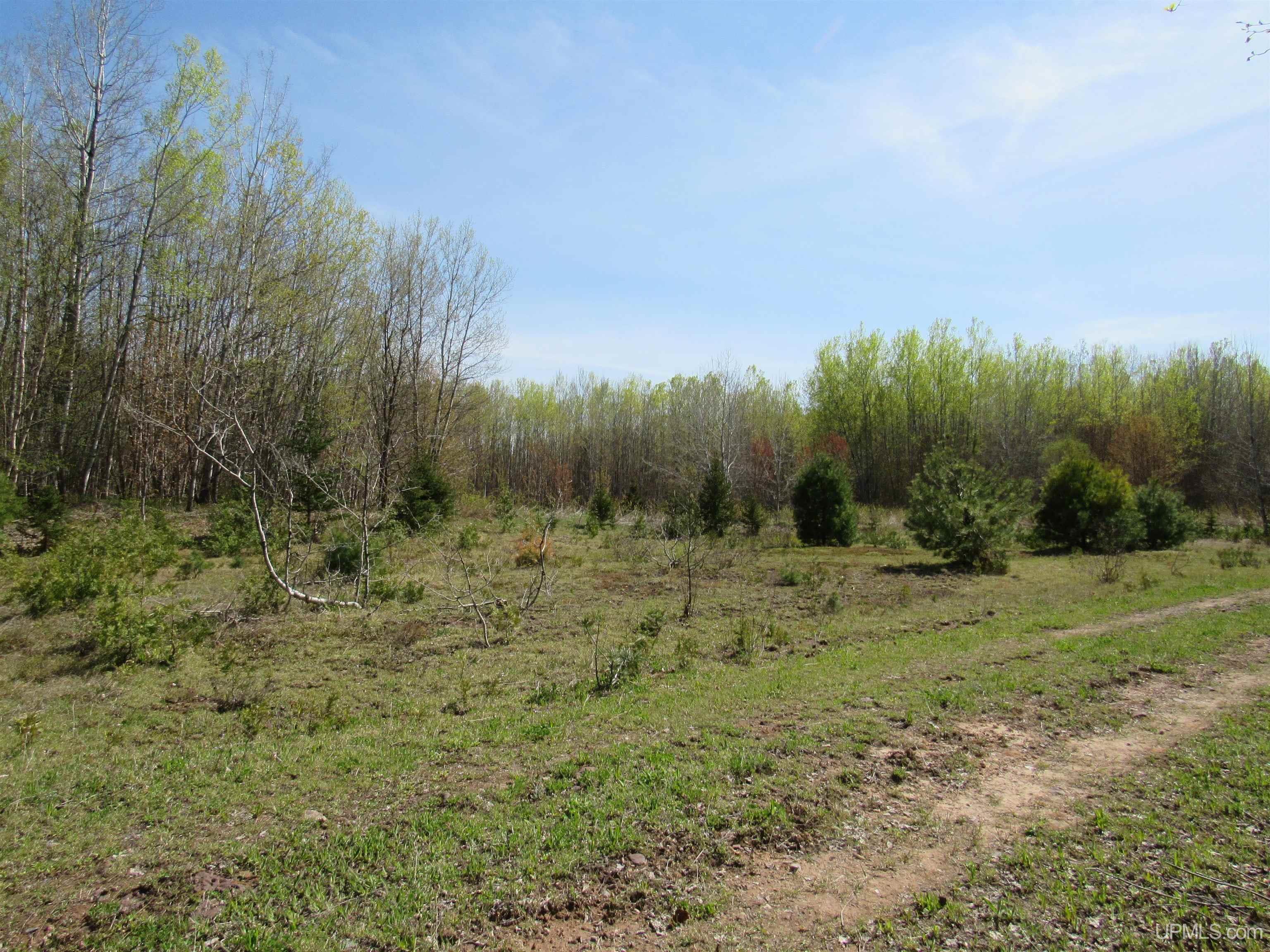 Tbd Off Rice Lake Road, Unit NO DRIVE BYS Lake Linden, MI 49945 - Photo 14 of 40