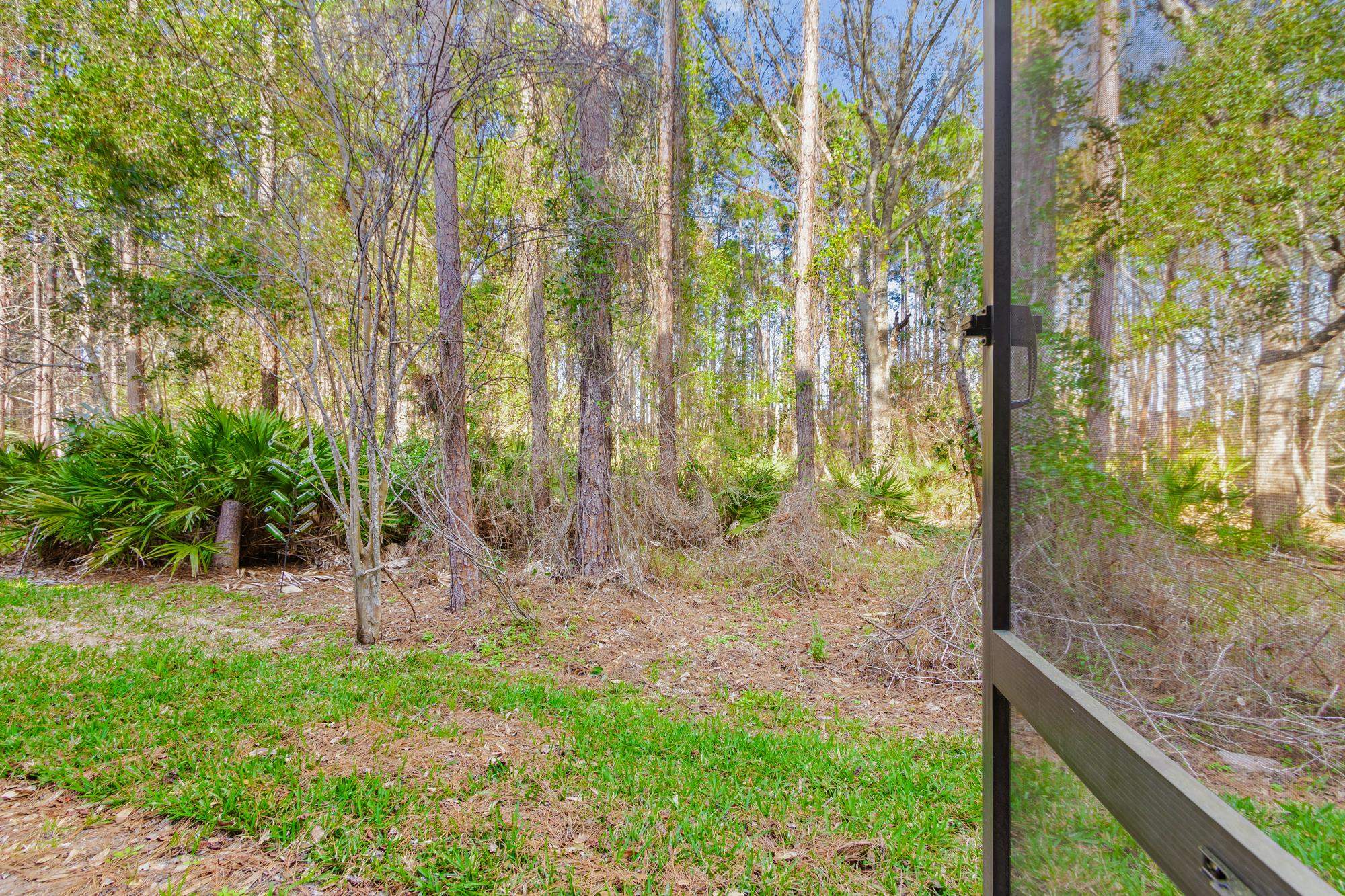 22 Grand Ravine Drive St. Augustine, FL 32086 - Photo 9 of 43