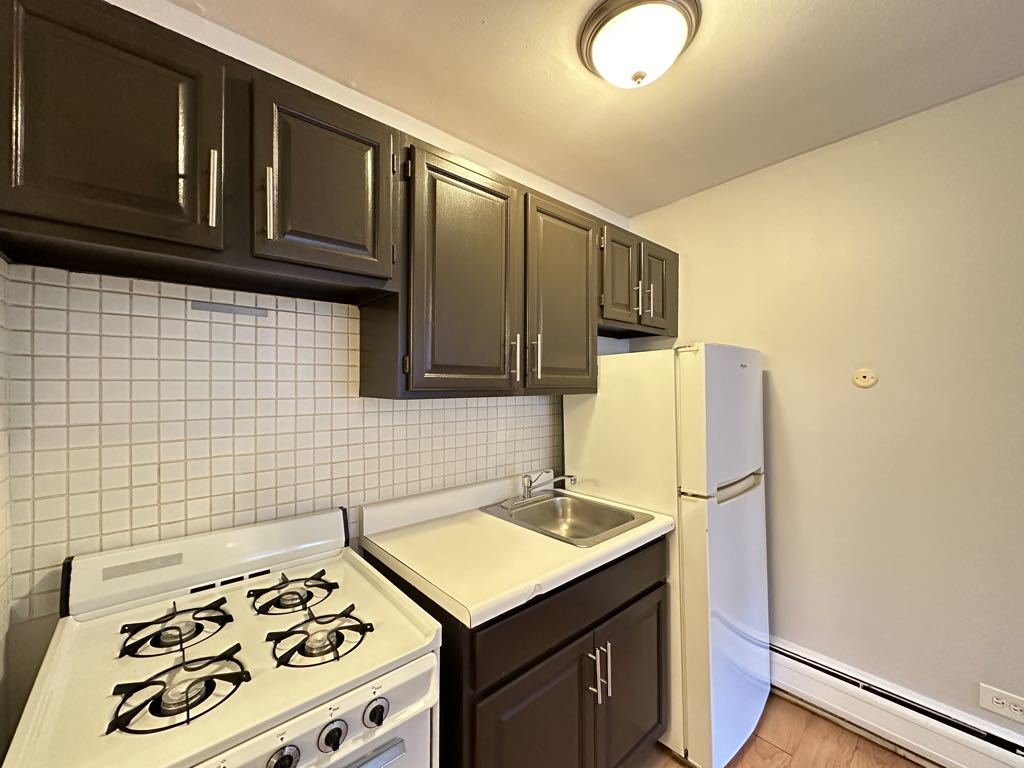 4537 North Dover Street, Unit 2H Chicago, IL 60640 - Photo 5 of 21