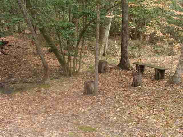 190 Bauknight Road Mountain Rest, SC 29664 - Photo 11 of 25 Gallery Image 11