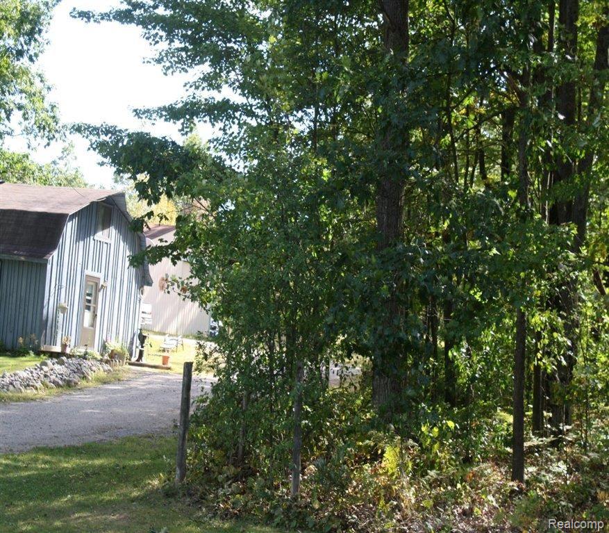 705432805 Rear view.jpg