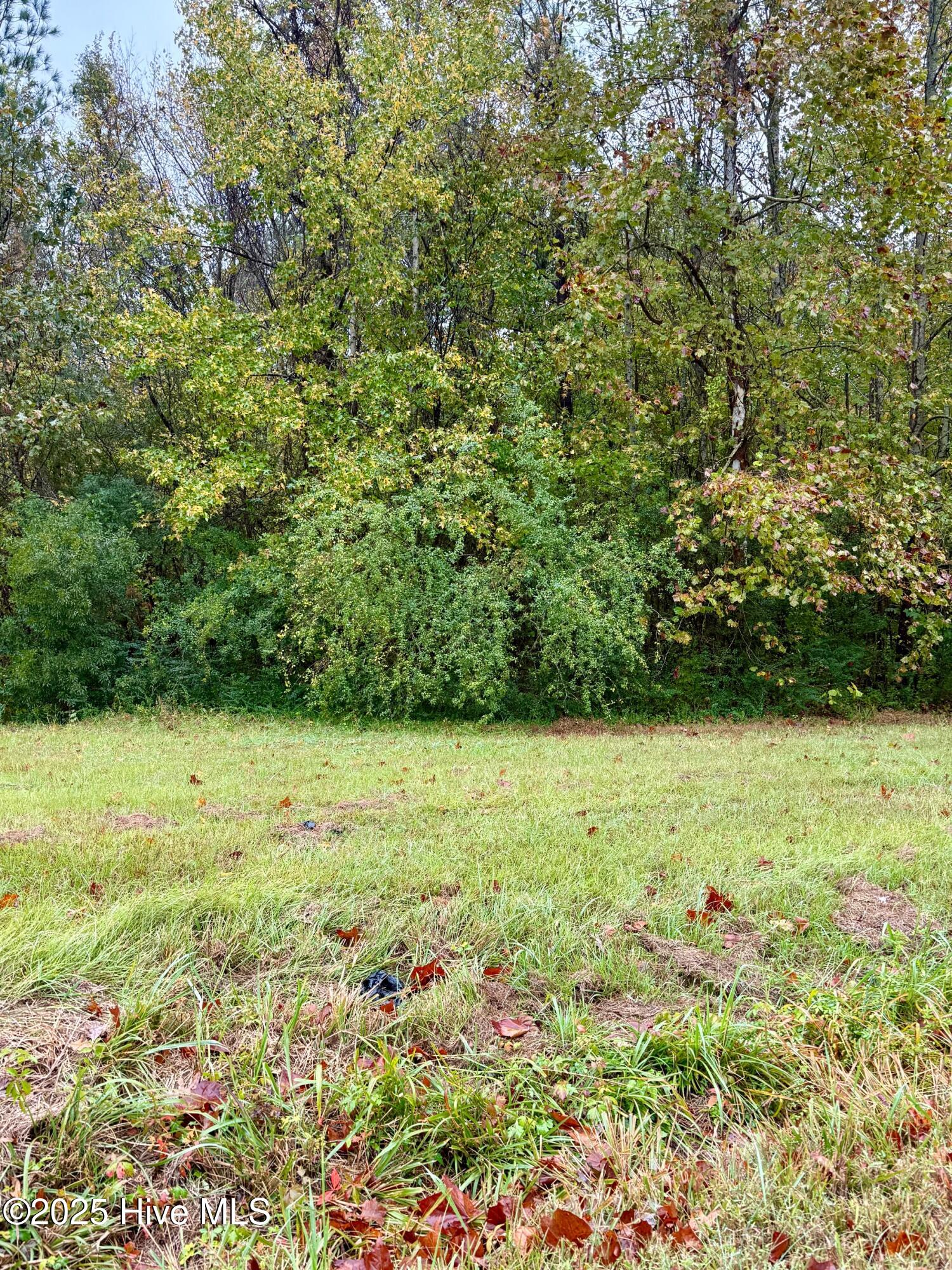 101 Colony Drive Edenton, NC 27932 - Photo 3 of 5 IMG_9238