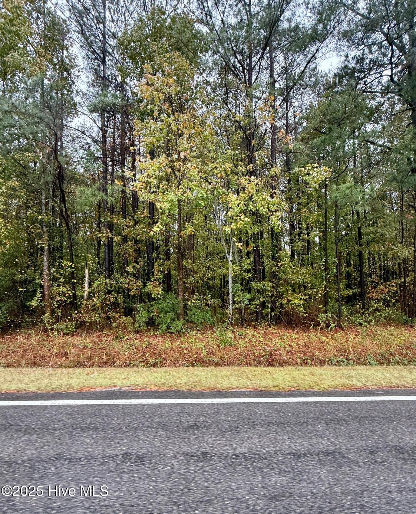 101 Colony Drive Edenton, NC 27932 - Photo 5 of 5 IMG_9246