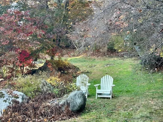 a view of a garden with plants