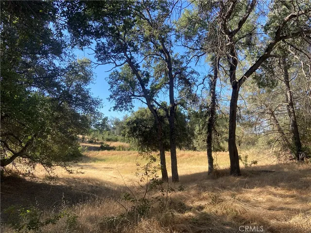 a view of swimming pool with a yard