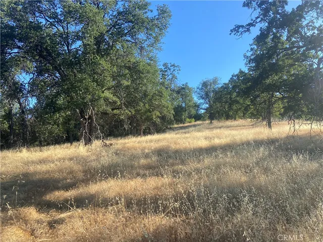 a view of water covered with trees in the background