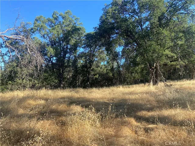 a view of lake with a tree in back