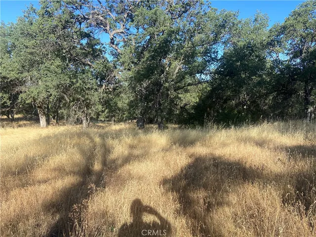 a view of a lake with a tree in the background